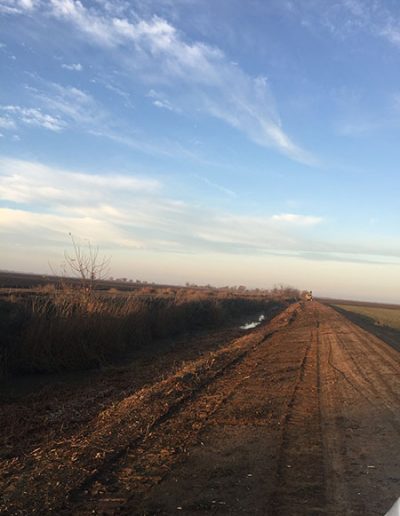 brush clearing for levees | clearing brush from ditches | brush clearing services for canals by Brush Services, Lodi California