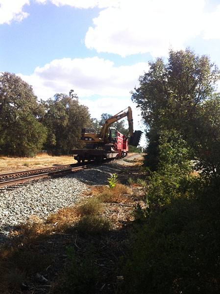 brush mastication, mulching, land clearing by Brush Services in Lodi California