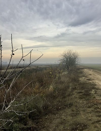 brush clearing for levees | clearing brush from ditches | brush clearing services for canals by Brush Services, Lodi California